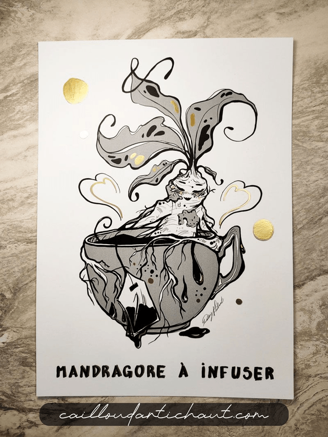 Mandragore à infuser - PRINT OPTION DORURE