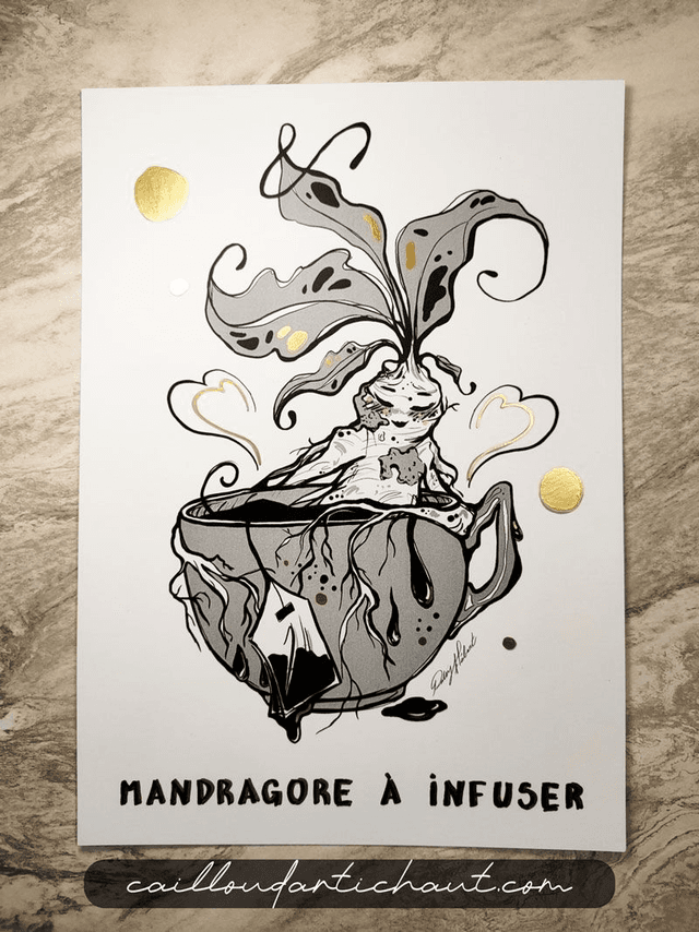 Mandragore à infuser - PRINT OPTION DORURE